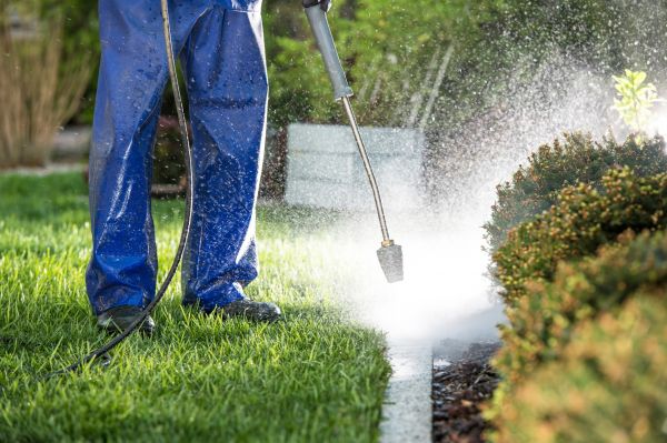Cost of Curb Cleaning in Oconomowoc