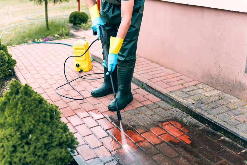 Paver Sidewalk Cleaning